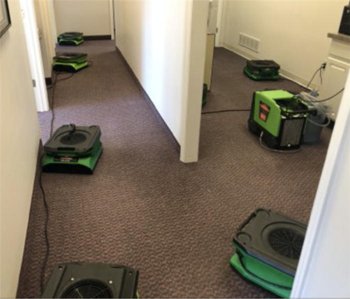 Green drying equipment set up and running on the floor on a commercial property.